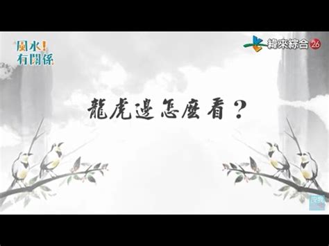 大樓龍邊虎邊|【大樓龍邊虎邊】大樓龍邊虎邊怎麼分？一次搞懂！